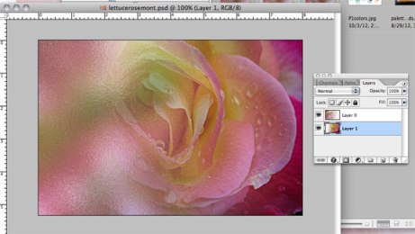 After masking the rose