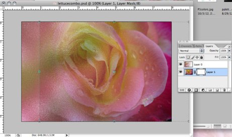 Rose layer with mask