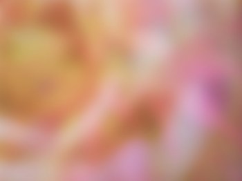 Light Leaves Background 