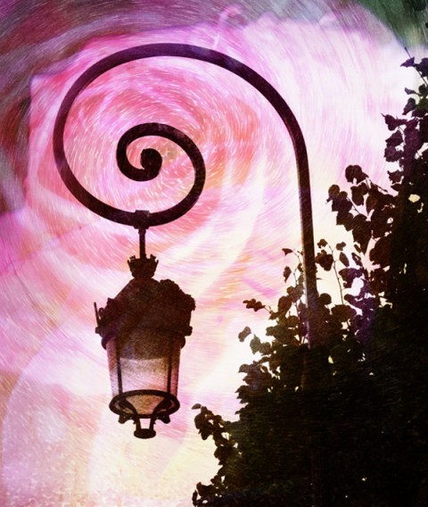 Rose in montage Rose in montage