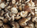 Mushroom photo set of 3