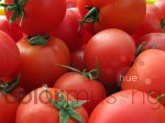 Market Tomatoes 3