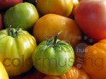Market Tomatoes I