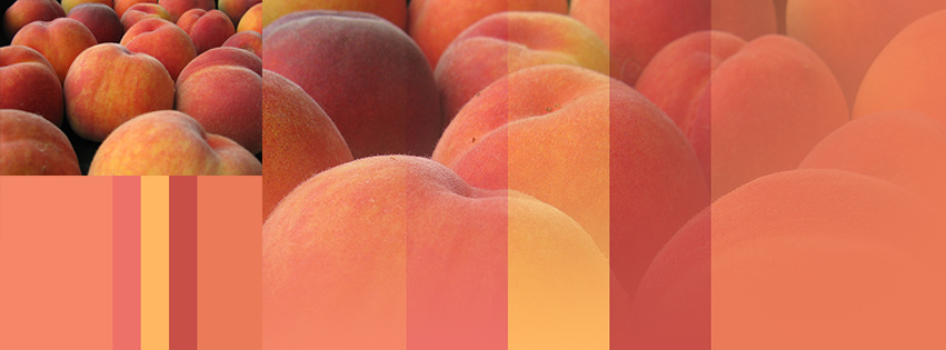 Photo + palette = montage