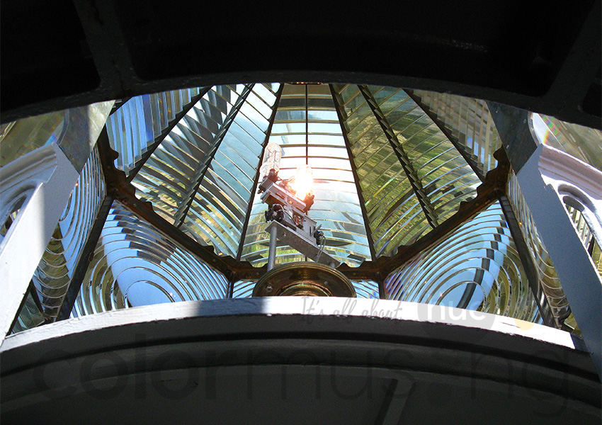 High-contrast photo.